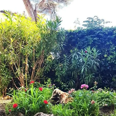 Nice 52 M With Terrace At 4mn From The Beach Apartment Saint-Raphael (Var)
